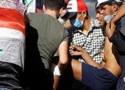 جوان معترض عراقی با خود یک شیر به میدان تظاهرات آورد
