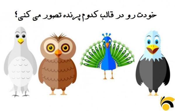 تست : خودت رو در قالب کدام پرنده تصور می کنی ؟ تست : خودت رو در قالب کدام پرنده تصور می کنی ؟